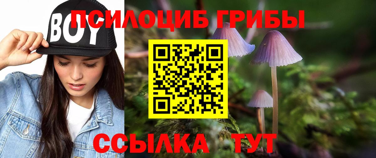 Псилоцибиновые грибы ЛСД  Вход с VPN  Чехов 